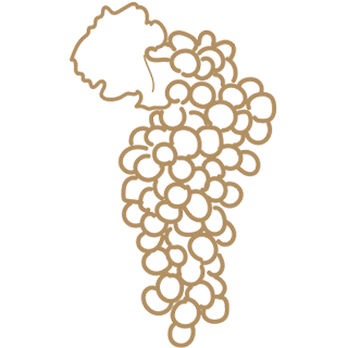 Drawing of a bunch of grapes.