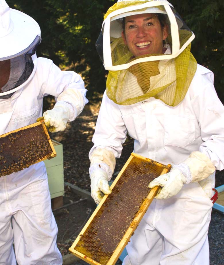 Two people harvesting a beehive.